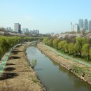 송담길10-25 Daum카페