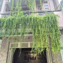 미우스파(Miu. Spa) 이미지