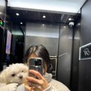 애견호텔 나무야 이미지