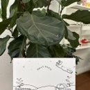 오산 수청동 세교 수플레/말차맛집 데일리오아시스