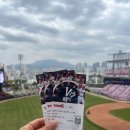 533 | 광주 기아타이거즈 챔필 첫 직관! 승리요정🧚 3루 EV 533블록 시야 후기✨