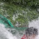 송라태권도 이미지