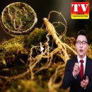 오마중학교 이미지