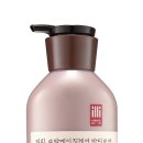 브랜드일리 스포츠경향
