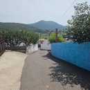 화동초등 | 시골에서 즐기는 힐링 하루 여수 료칸 독채 숙소 화동민가 한옥자쿠지 내돈내산 솔직 후기