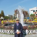 오정식물원 이미지