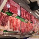 싱싱포크 이미지