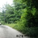 고흥읍 흥양길 이미지