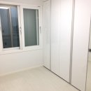 아모르빌 이미지