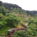 삼선산수목원 숲속도서관 이미지