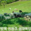 소화목장 이미지