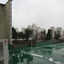 왕성미싱 네이버블로그