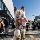 하울 | 하울수프26 참가 후기