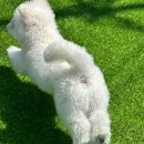 보들보들 유치원 이미지