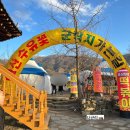 산수유꽃길로 | 구례여행 산수유마을 근처 포토존이 예쁜 [꽃길로카페], 3월 초 산수유 개화상태