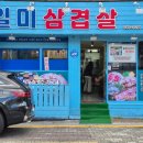 일미삼겹살항남점