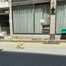 안쵸비(Anchovy) 이미지