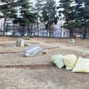 성포공원 이미지