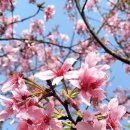 신나는 통기타 교실 이미지