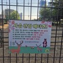 연수사슴농장 | 아기랑 송도여행- 송도센트럴파크, 사슴농장, 송도코마린이스트보트하우스 아기랑 보트타기, 화통삼...