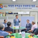 머쉬