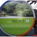 상지소류지 이미지