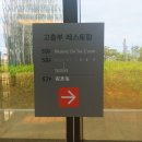 63빌딩 워킹온더클라우드에서 고급진 점심을 먹었어요 : )