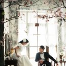 데이스튜디오 - 목포시 비파로43번길 22 | 데이스튜디오