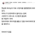 아빠 버리고 온 줄 알고 서럽게 운 고양이 이미지