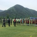태장화원