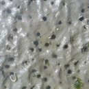 유포어촌체험마을 이미지