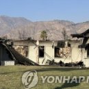 J&J 소프트 이미지