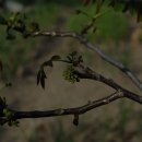 (주)나무재 이미지