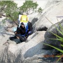 푸른솔길 이미지