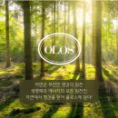 로스페이스
