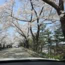 NO.9 넘버나인 펜션 이미지