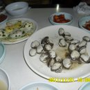동아지하수
