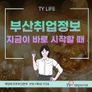 태양취업정보 이미지