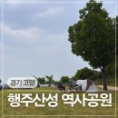 6시내고양이 | 경기 고양 가볼만한 곳 피크닉 나들이 장소 추천 행주산성 역사공원