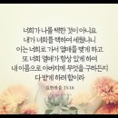 [NLT MDS 9-16-2] 요한복음 15장 16절 이미지