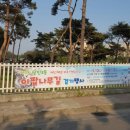 당진3동 이팝나무 이미지