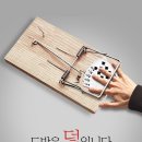크리커뮤니케이션
