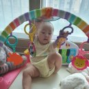 내산체육관 이미지