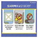 대건자동차유리