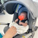 이모텍스