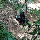 김천공단정비 이미지