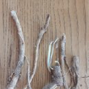 부흥행정사사무소 이미지