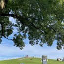 로렌스호텔 이미지