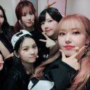 Love Bug 이미지