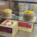 광수 | 광주 망고케이크 추천 광수빵집 예약주문 내돈내산 후기